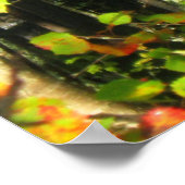 Poster Couleurs d'automne (Coin)