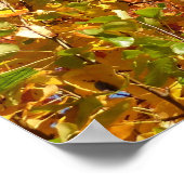 Poster Couleurs d'automne 4 (Coin)