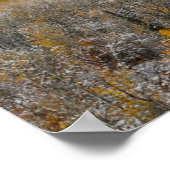 Poster Couleurs d'automne Aspens & | Montagnes Rocheuses, (Coin)