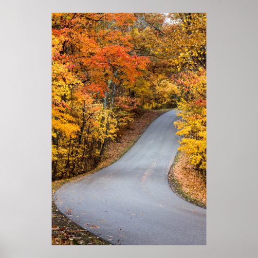 Poster Couleurs d'automne au Brown County State Park (Devant)