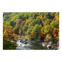 Couleurs d'automne au parc d'État d'Ohiopyle
