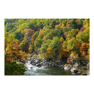 Poster Couleurs d'automne au parc d'État d'Ohiopyle