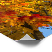 Poster Couleurs d'automne, Ciel bleu, Ohio (Coin)
