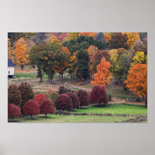 Poster Couleurs d'automne dans le Massachusetts (Devant)
