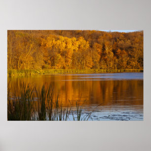 Poster Couleurs d'automne dans le parc d'état de Maplewoo