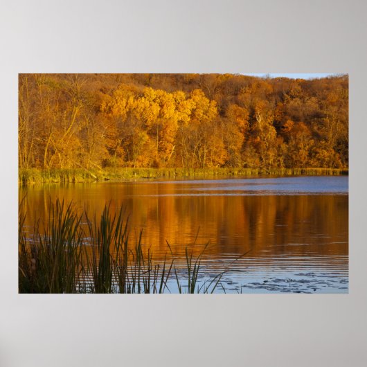 Poster Couleurs d'automne dans le parc d'état de Maplewoo (Devant)
