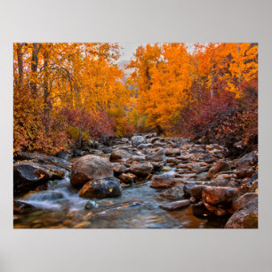 Poster Couleurs d'automne dans les montagnes du Ruby