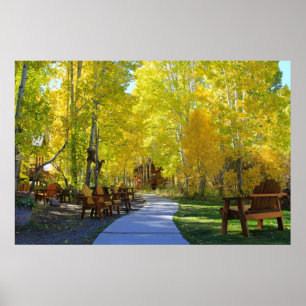 Poster Couleurs d'automne "de passage couvert d'Aspen",