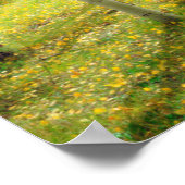 Poster Couleurs d'automne des arbres d'Aspen 4 (Coin)