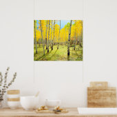 Poster Couleurs d'automne des arbres d'Aspen 4 (Cuisine)