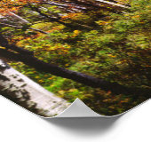 Poster Couleurs d'automne des arbres d'Aspen 5 (Coin)