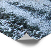 Poster Couleurs d'automne des Aspens et du col de la neig (Coin)