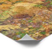 Poster Couleurs d'automne des forêts dans The Cascade 2 (Coin)