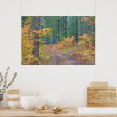 Poster Couleurs d'automne des forêts dans The Cascade 2 (Cuisine)