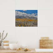 Poster Couleurs d'automne des peupliers trembles &  | Mon (Cuisine)