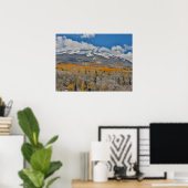 Poster Couleurs d'automne des peupliers trembles &  | Mon (Bureau à domicile)