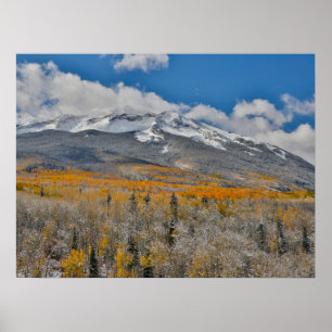 Poster Couleurs d'automne des peupliers trembles &    Mon
