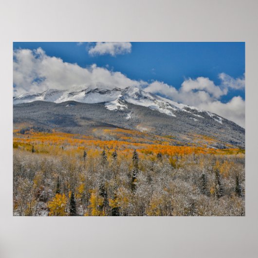 Poster Couleurs d'automne des peupliers trembles &  | Mon (Devant)