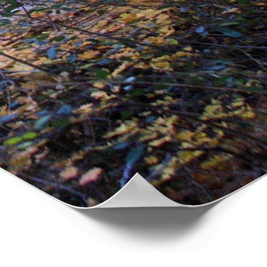 Poster Couleurs d'automne en Sedona (Coin)