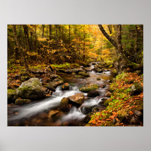 Poster Couleurs d'automne Jefferson Brook Montagnes Bla