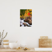 Poster Couleurs d'automne le long de Bishop Creek, CA (Cuisine)