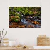 Poster Couleurs d'automne le long des chutes de Starvatio (Cuisine)