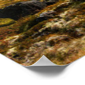 Poster Couleurs d'automne sur le paysage (Coin)