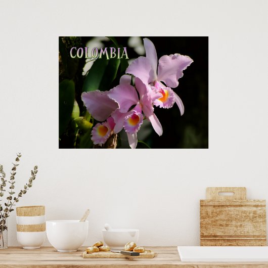 Poster Couleurs de Colombie Orchidée (Cuisine)