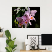 Poster Couleurs de Colombie Orchidée (Bureau à domicile)