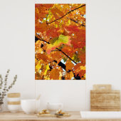 Poster Couleurs de feuillage de pointe en automne (Cuisine)