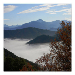 Poster Couleurs de l'automne avec du brouillard matinal..