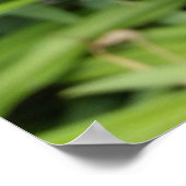 Poster couleurs de l'été (Coin)
