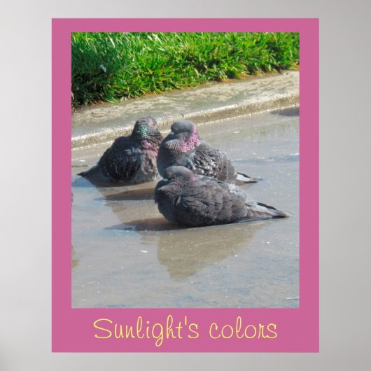 Poster - Couleurs de soleil (Devant)