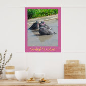 Poster - Couleurs de soleil (Cuisine)