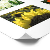 Poster Couleurs des caractères (Coin)