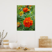 Poster couleurs des marigolds (Cuisine)