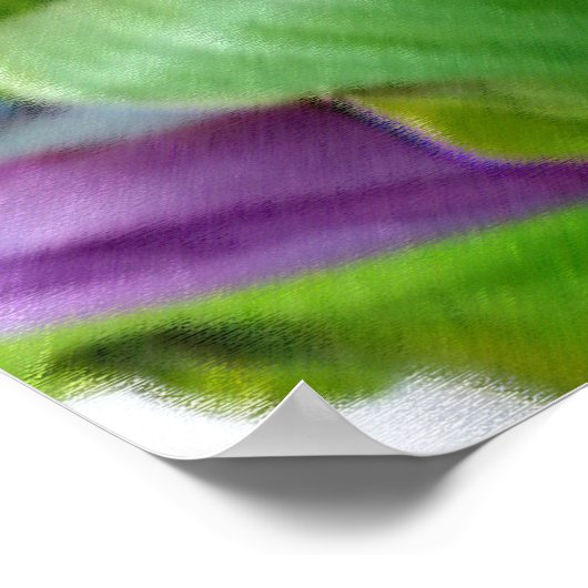 Poster couleurs des tulipes (Coin)