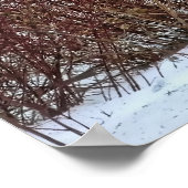 Poster Couleurs d'hiver (Coin)