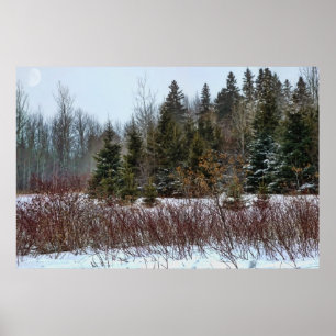 Poster Couleurs d'hiver