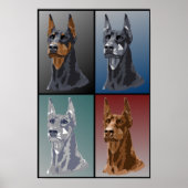 Poster Couleurs Doberman (Devant)