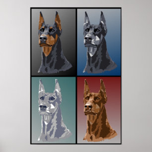 Poster Couleurs Doberman