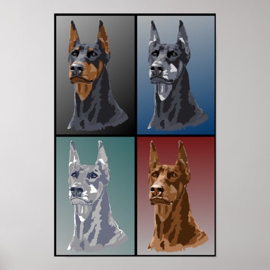 Poster Couleurs Doberman (Devant)
