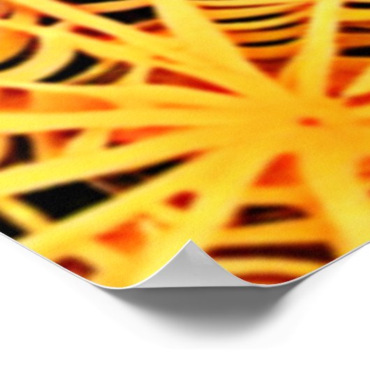 Poster Couleurs douces : Spiderweb Art (Coin)