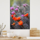 Poster Couleurs du désert (Cuisine)