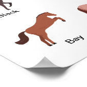 Poster Couleurs du manteau de cheval (Coin)