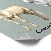 Poster Couleurs du manteau de cheval (Coin)