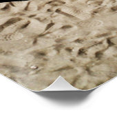 Poster couleurs et ombres sur la plage (Coin)