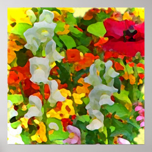 Poster Couleurs gaies de jardin