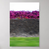 couleurs kona
