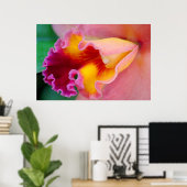 Poster Couleurs orchidées (Bureau à domicile)